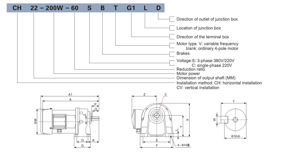 Model Analysis