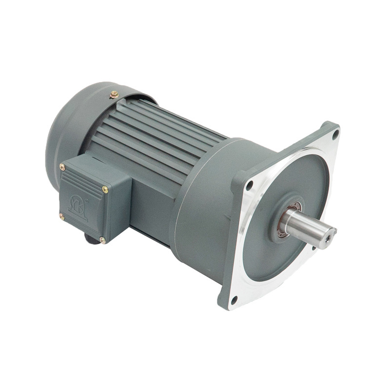 Gear Motor